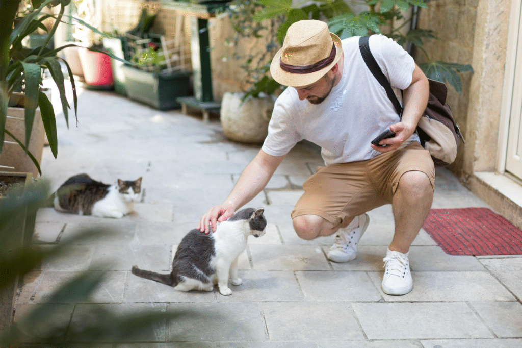 Man petting a cat on the street